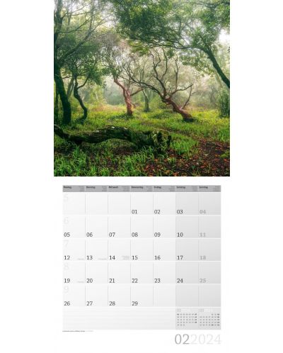 Calendar Ackermann - Mystic Forest, 2024 - 3