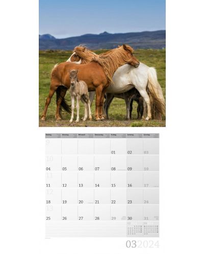 Calendar Ackermann - Cai, 2024 - 4