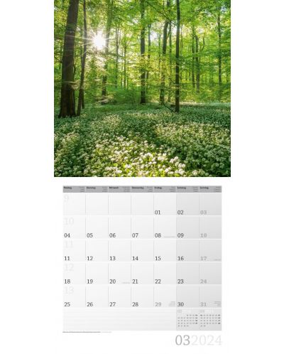 Calendar Ackermann - Mystic Forest, 2024 - 4