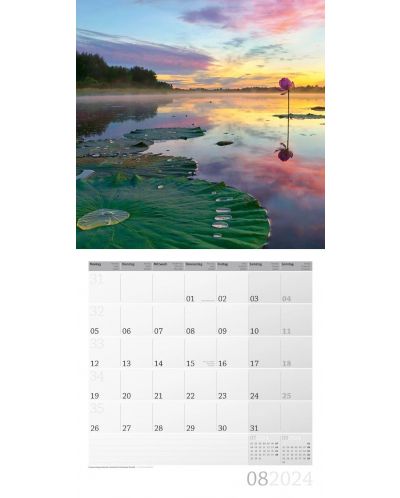Calendar Ackermann - Magia luminii, 2024 - 7