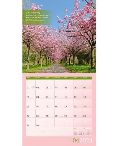 Calendar Ackermann - Momente pentru tine, 2024 - 5