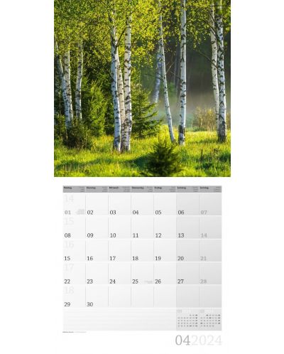 Calendar Ackermann - Magia luminii, 2024 - 4