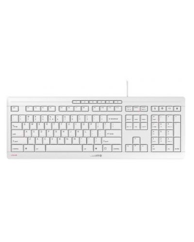 Tastatura Cherry - Stream, SX tehnologie, gri - 1