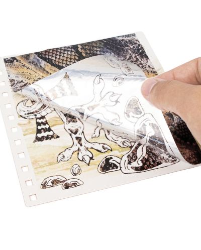 DinosArt Foil Drawing Book - Dinozauri - 5