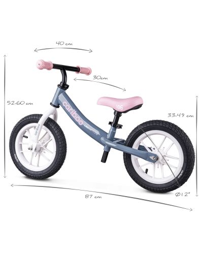 Bicicletă de echilibru Cariboo - LEDventure, albastru/roz - 8