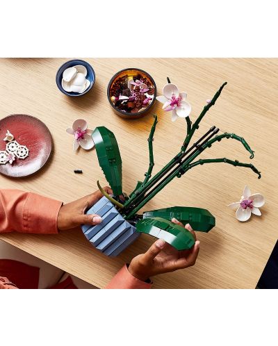 ★★★ ①装飾オプションサンプル（No.1~18）★★★ Constructor LEGO Botanical - Orhidee (10311) | Ozone.ro