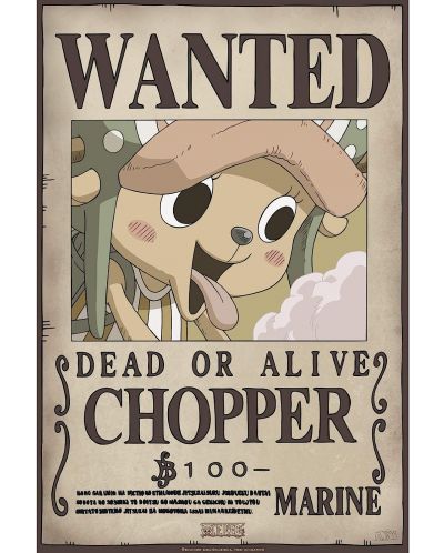 GB eye Animation Mini Poster Set: One Piece - Brook & Chopper Wanted Postere - 2