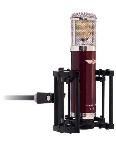 Set de microfon cu accesorii Vanguard - V13, roșu/argintiu - 4