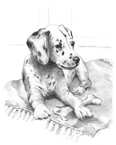 Set de desen cu creioane Royal - Dalmatian, grafica, 20 x 25 cm - 1