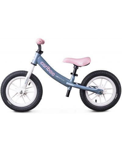 Bicicletă de echilibru Cariboo - LEDventure, albastru/roz - 2