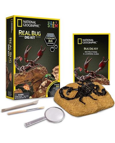 Set National Geographic Dig Science - Gandac - 1