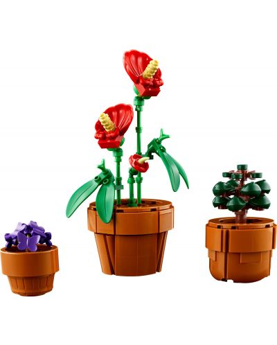 Constructor LEGO Icons Botanică - Plante mici (10329) - 4