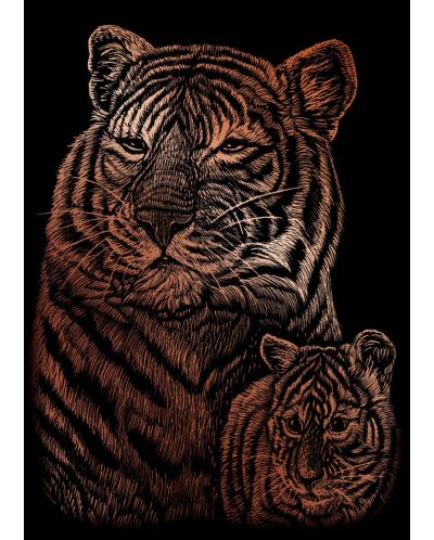 Set de gravură Royal Copper - Tigri, 13 x 18 cm - 1