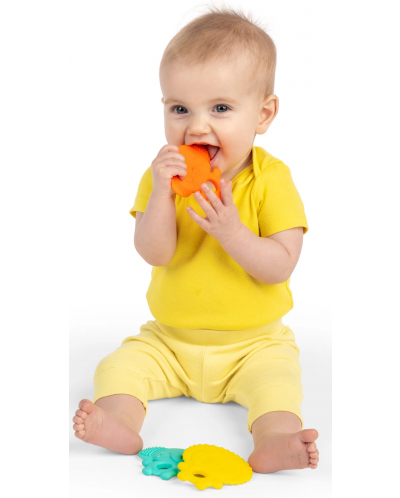 Set de jucării pentru dentiție pentru bebeluși Bright Starts - Multi-Pack, Animale, 3 buc - 5