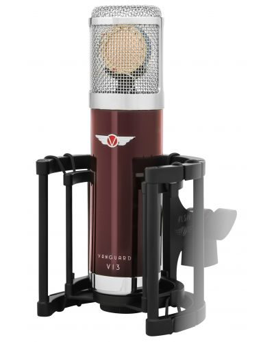 Set de microfon cu accesorii Vanguard - V13, roșu/argintiu - 3