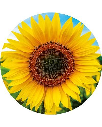 Puzzle rotund Educa din 800 de piese - Floarea Soarelui - 2