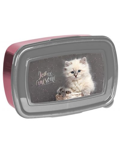 Cutie pentru mâncare Paso Cat - Varianta 1 - 1