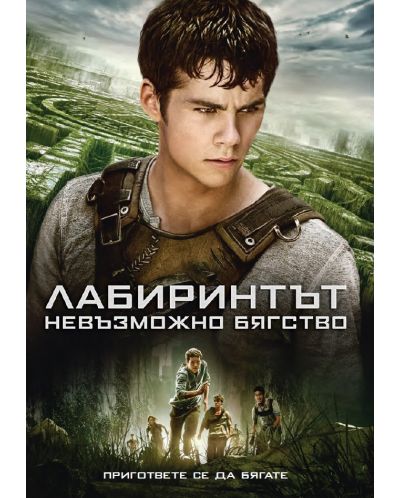 The Maze Runner (DVD) - 1