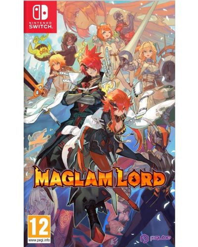 Maglam Lord (Nintendo Switch) - 1