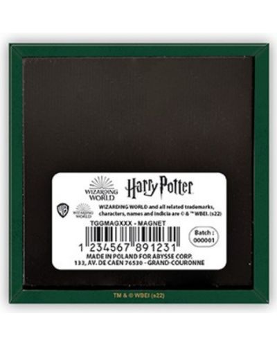 Cadou bun Magnet Filme: Harry Potter - Hogwarts Green - 2