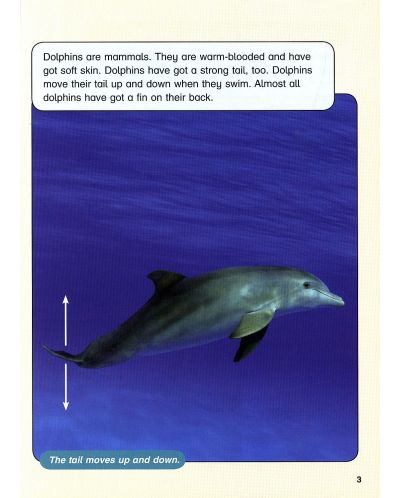 Macmillan Children's Readers: Sharks&Dolphins (ниво level 6) - 5