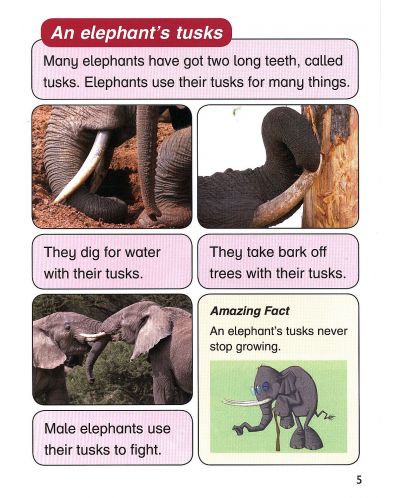 Macmillan Children's Readers: Elephants (ниво level 4) - 7