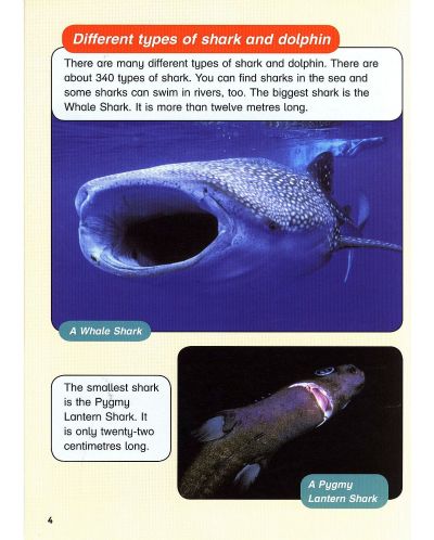 Macmillan Children's Readers: Sharks&Dolphins (ниво level 6) - 6