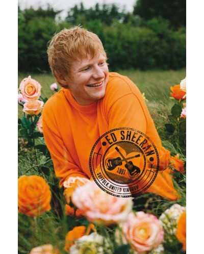 Maxi poster GB eye Music: Ed Sheeran - Rose Field - 1