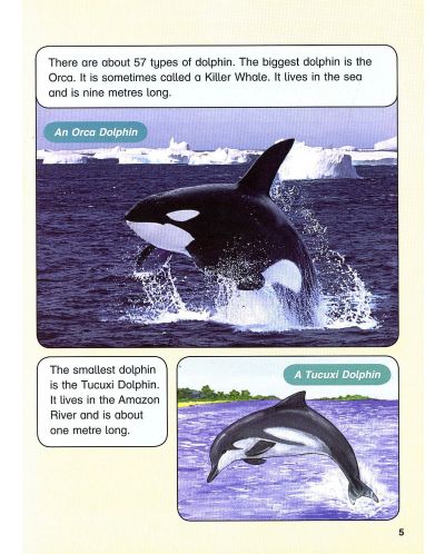 Macmillan Children's Readers: Sharks&Dolphins (ниво level 6) - 7