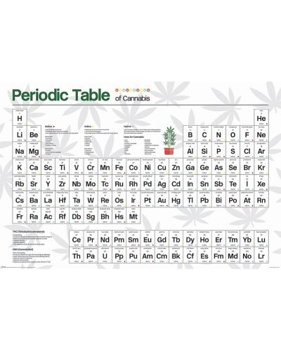Poster maxi Pyramid - Periodic Table Cannabis - 1