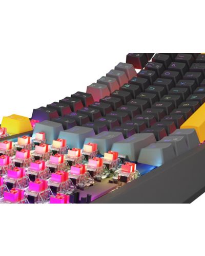 Tastatură mecanică Genesis - Thor 230 TKL, Outemu Red, RGB, Anchor Gray Positive - 4