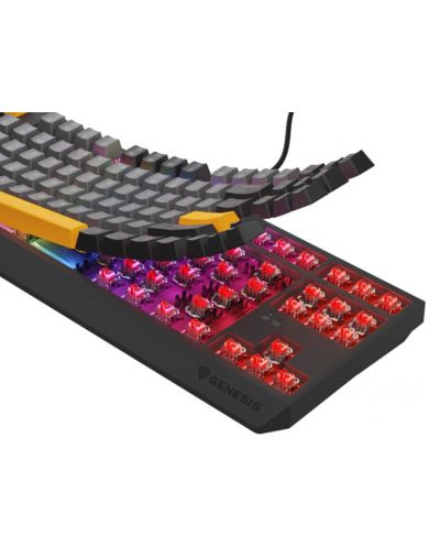 Tastatură mecanică Genesis - Thor 230 TKL, Outemu Red, RGB, Anchor Gray Negative - 5