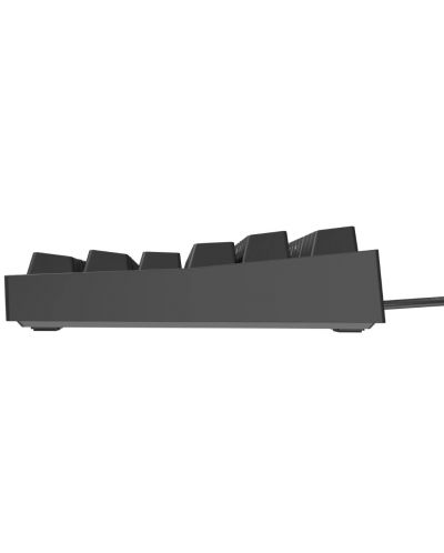 Tastatură mecanică Genesis - Thor 404 TKL, Kailh box maro, RGB, negru - 5