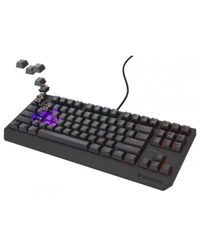 Tastatură mecanică Genesis - Thor 230 TKL, Outemu Brown, RGB, negru - 3