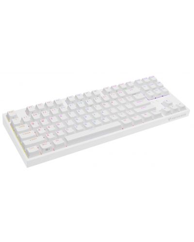 Tastatură mecanică Genesis - Thor 404 TKL, Kailh box maro, RGB, alb - 6