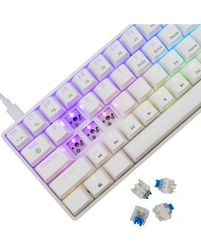 Tastatură mecanică White Shark - Shinobi 2, Blue Switch, RGB, alba