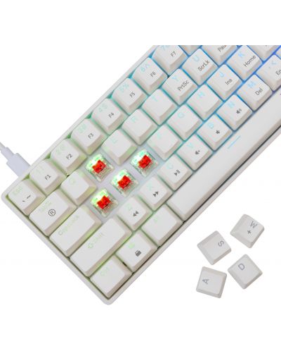 Tastatură mecanică White Shark - SHINOBI 2, Linear, albă | Ozone.ro