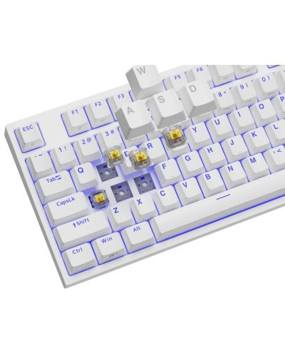 Tastatură mecanică Genesis - Thor 404 TKL, Gateron yellow pro, RGB, alb - 7