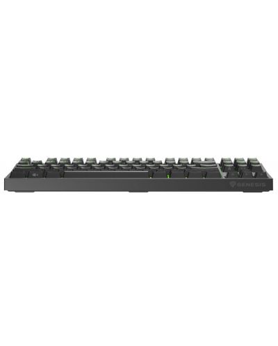 Tastatură mecanică Genesis - Thor 404 TKL, Kailh box maro, RGB, negru - 9