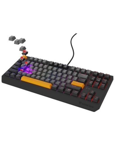 Tastatură mecanică Genesis - Thor 230 TKL, Outemu Red, RGB, Anchor Gray Negative - 3