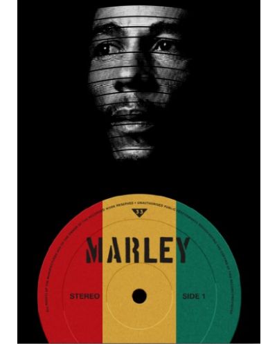 Poster metalic Displate - Marley - 1