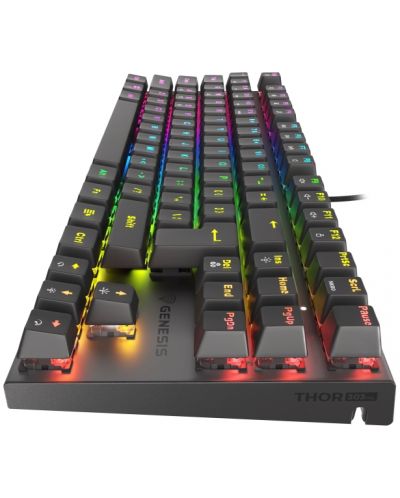 Tastatură mecanică Genesis - Thor 303 TKL, Outemu Red, RGB, negru - 5