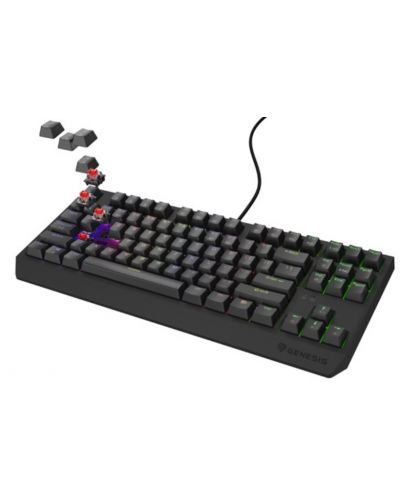 Tastatură mecanică Genesis - Thor 230 TKL, Outemu Red, RGB, negru - 3