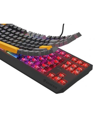 Tastatură mecanică Genesis - Thor 230 TKL, Outemu Red, RGB, Anchor Gray Positive - 6
