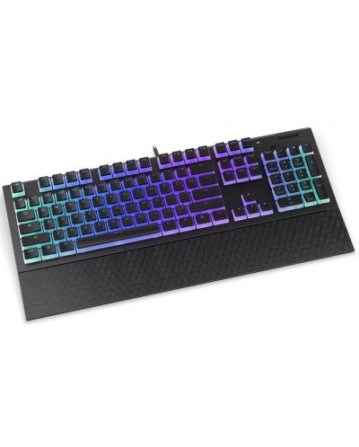 Endorfy Tastatură mecanică - Omnis Pudding, maro, RGB, negru - 3
