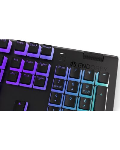 Endorfy Tastatură mecanică - Omnis Pudding, maro, RGB, negru - 8