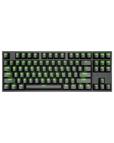 Tastatură mecanică Genesis - Thor 404 TKL, Kailh box maro, RGB, negru - 2