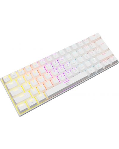 Tastatură mecanică White Shark - SHINOBI, Blue Switches, LED, alb - 2