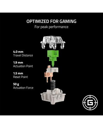Switch-uri mecanice Razer - Green Clicky Switch | Ozone.ro