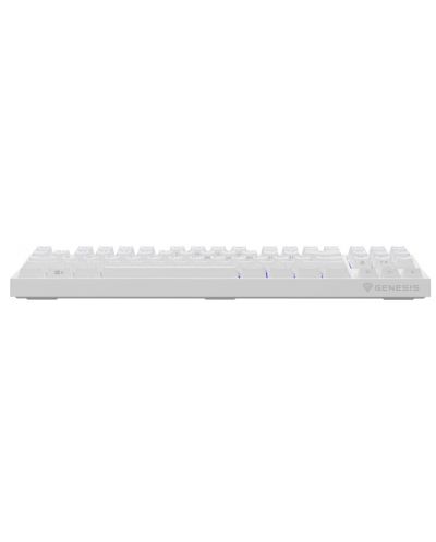 Tastatură mecanică Genesis - Thor 404 TKL, Kailh box maro, RGB, alb - 7